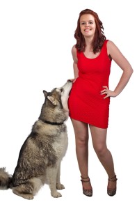 A Siberian Husky big enough to reach a woman's waist