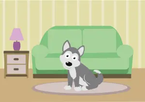 Husky in apartment cartoon 