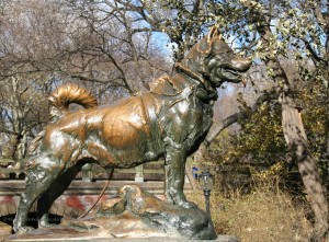 Balto the Siberian Husky - Statue in Central Park New York