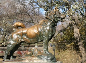 Balto the Siberian Husky - Statue in Central Park New York