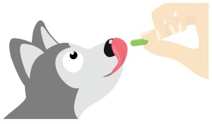 Vitamins for Siberian Huskies