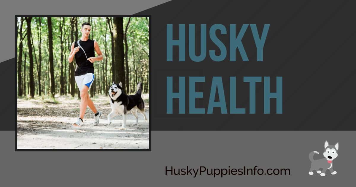 Husky Health