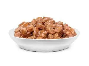 wet dog food in a white bowl