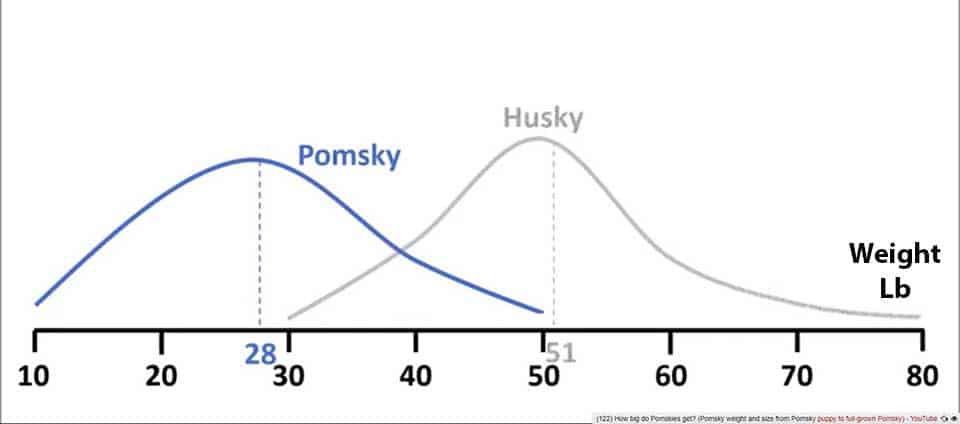 Weight-of-Pomsky Weight graphs in Lb showing Pomsky in comparison to Husky